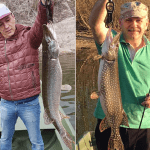 Socialiștii Europeni au fost surprinși de alianța PSD – AUR. Se poate întoarce PSD în epoca Dragnea, când nu mai avea intrare la Bruxelles?