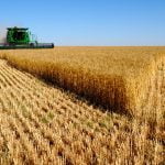 Ministrul Agriculturii – Până la 28% din terenul arabil e arendat de companii străine
