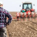 România depășește Franța la producția de porumb și urcă pe locul doi în Uniunea Europeană